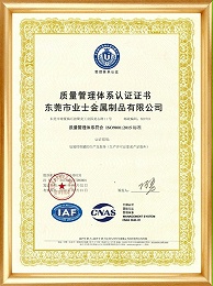 ISO9001质量管理体系认证证书-中文